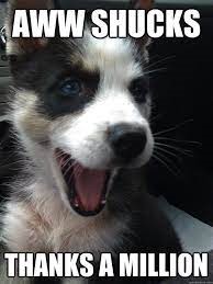 Newsletter April 2023 14 shucks meme